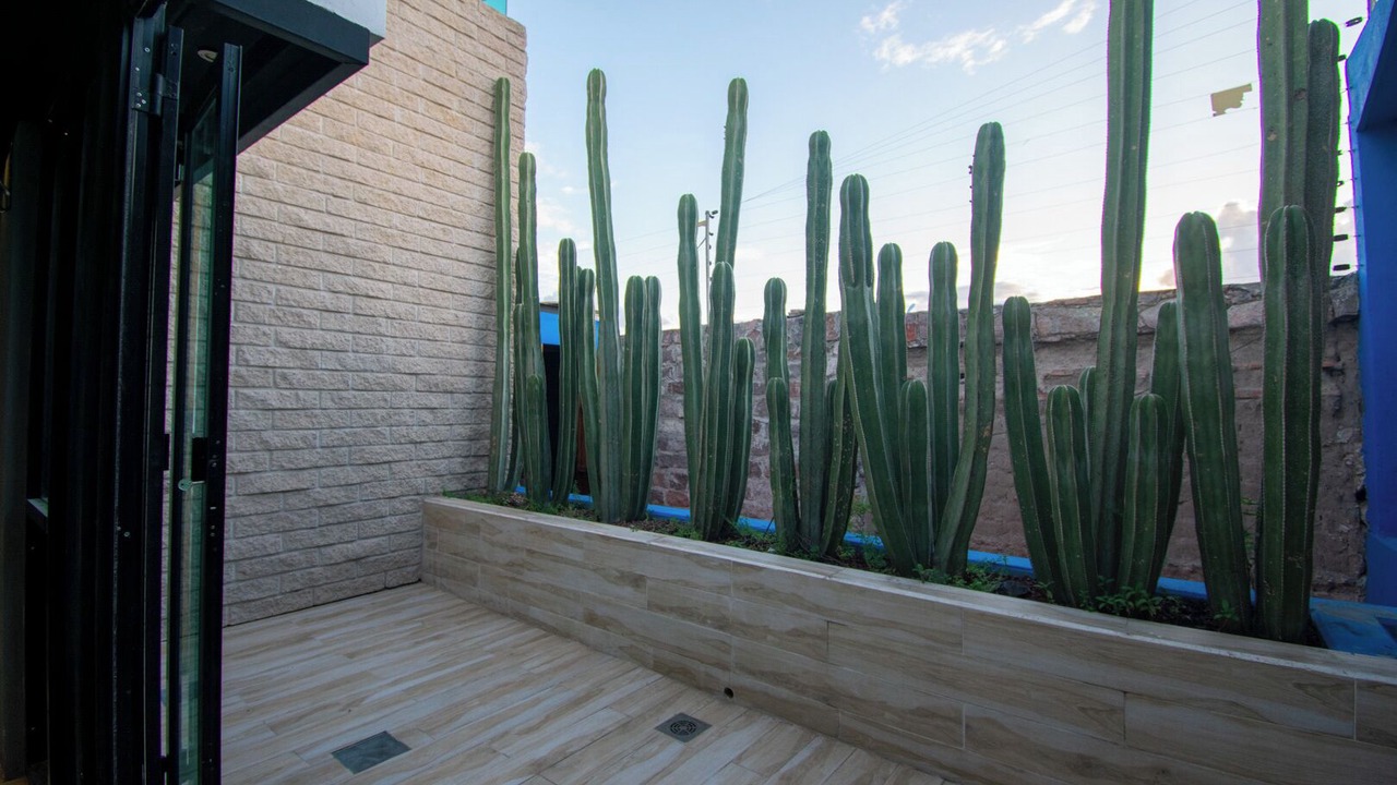 Photo of Outdoor in San Luis Potosi