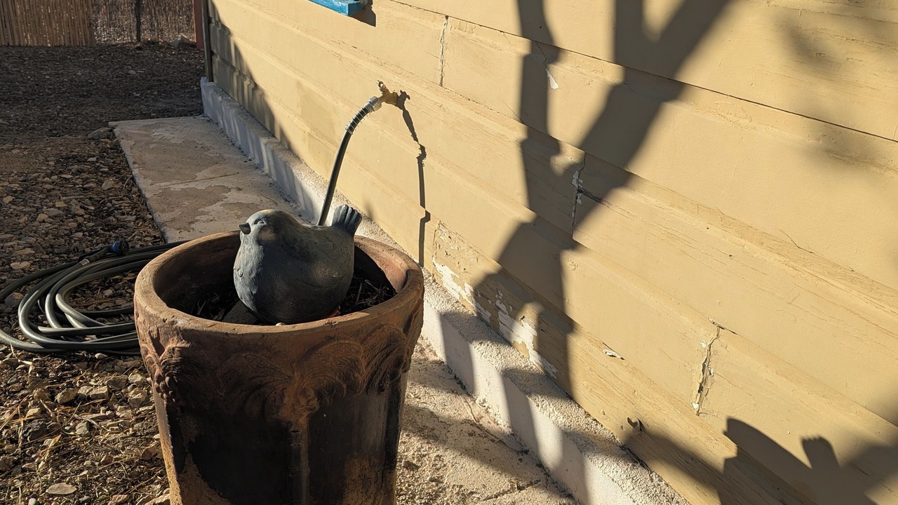 Photo of Outdoor in Ajo