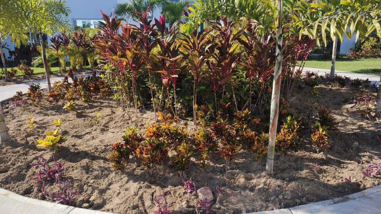 Photo of Outdoor in Mezcales