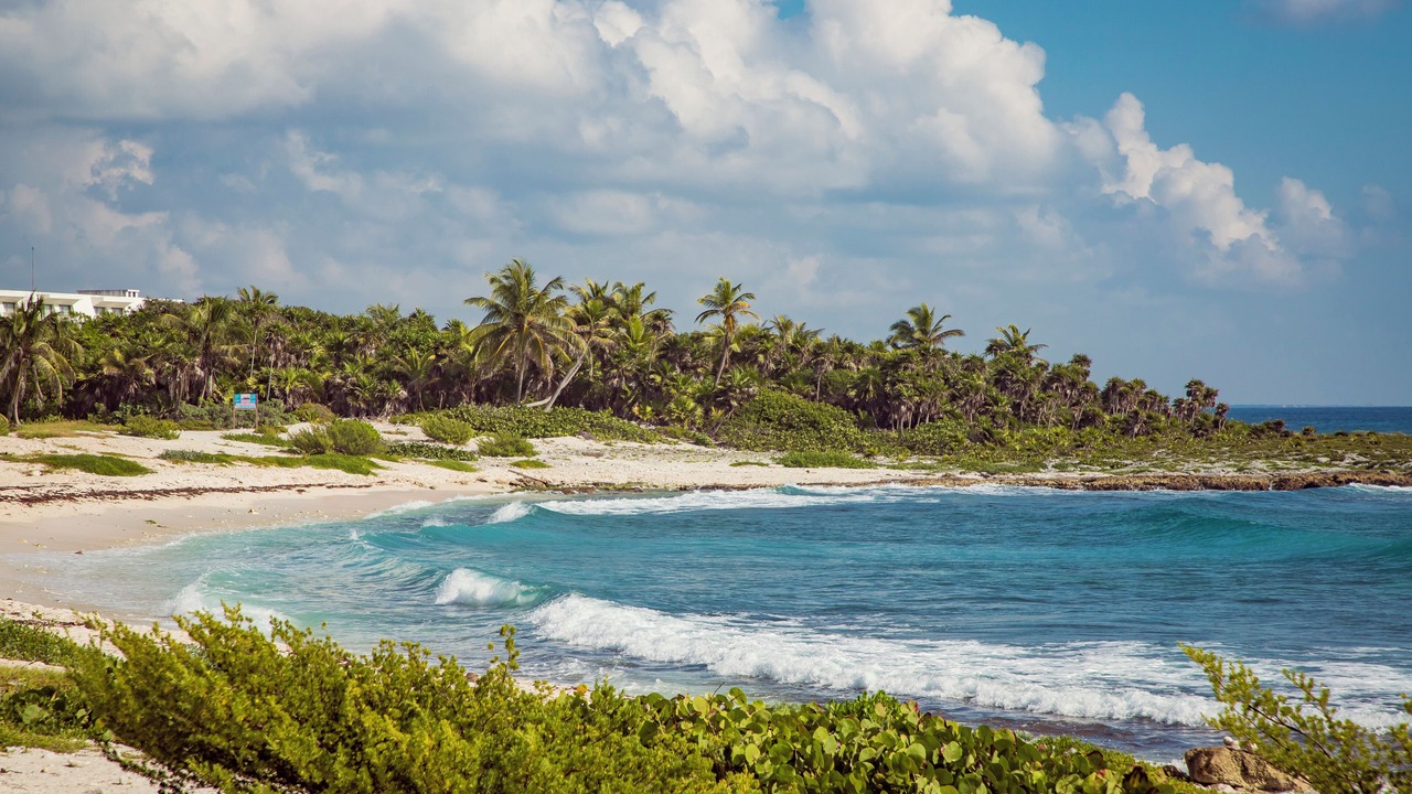 Photo of Others in Akumal