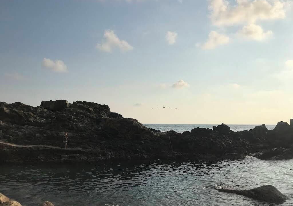 Photo of Others in Balcones Al Mar