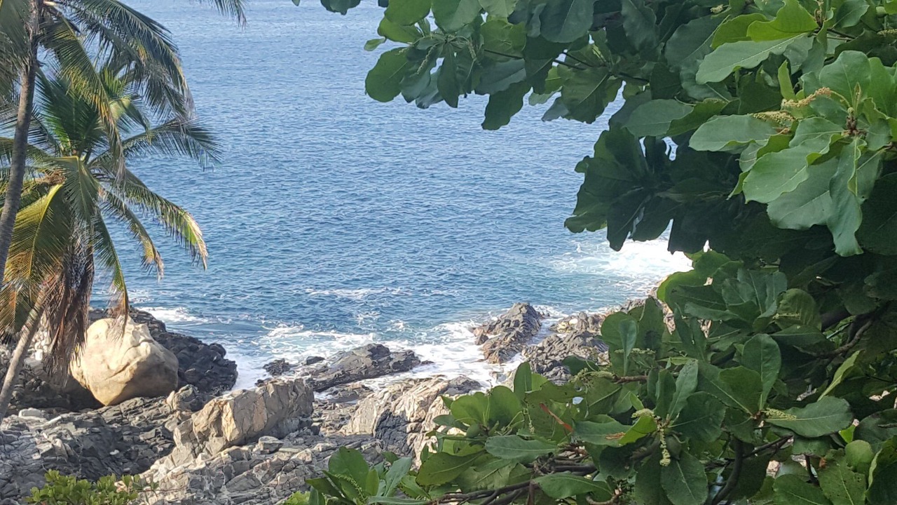 Photo of Others in Balcones Al Mar