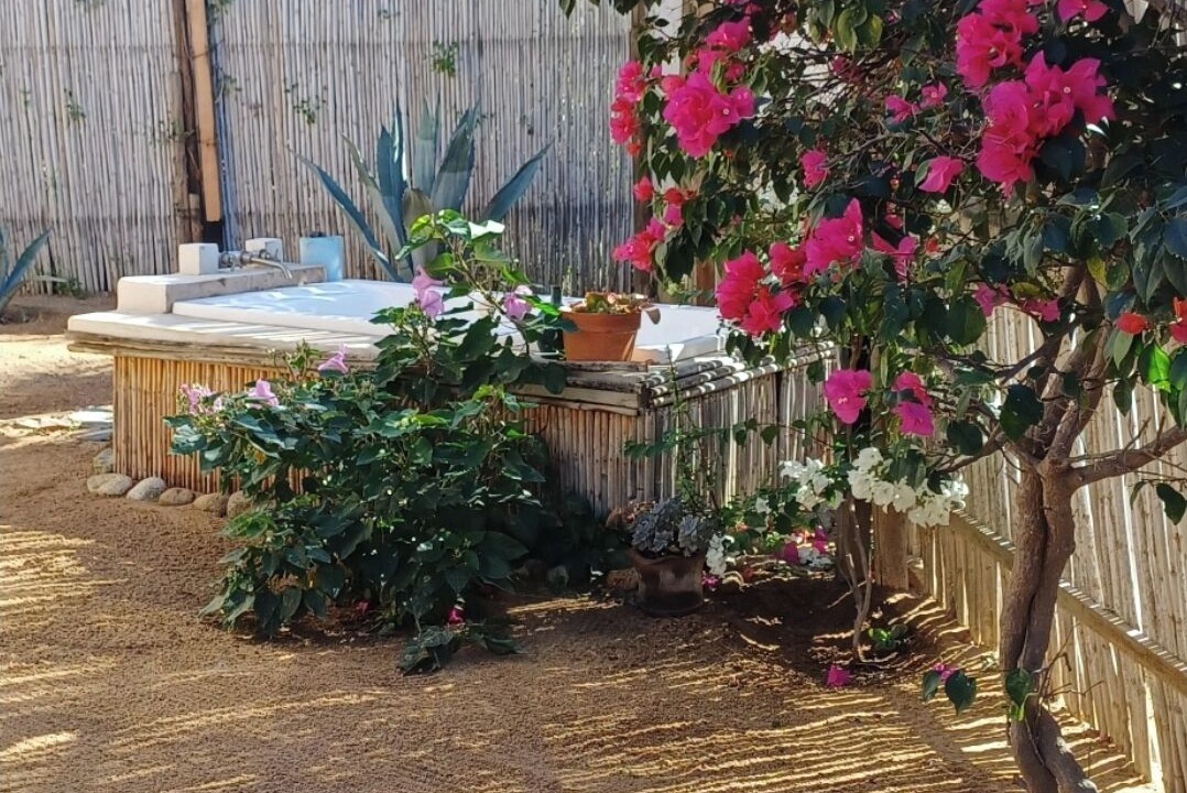 Photo of Outdoor in El Pescadero