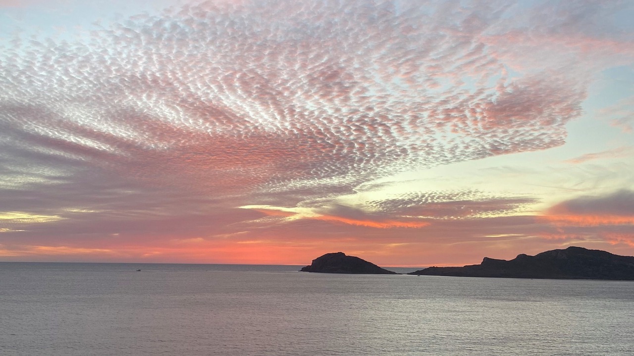 Photo of Others in Mazatlan