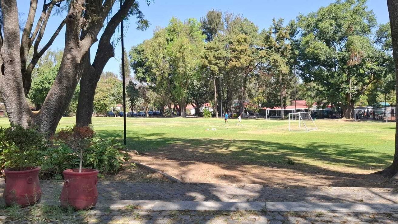 Photo of Others in Zapopan