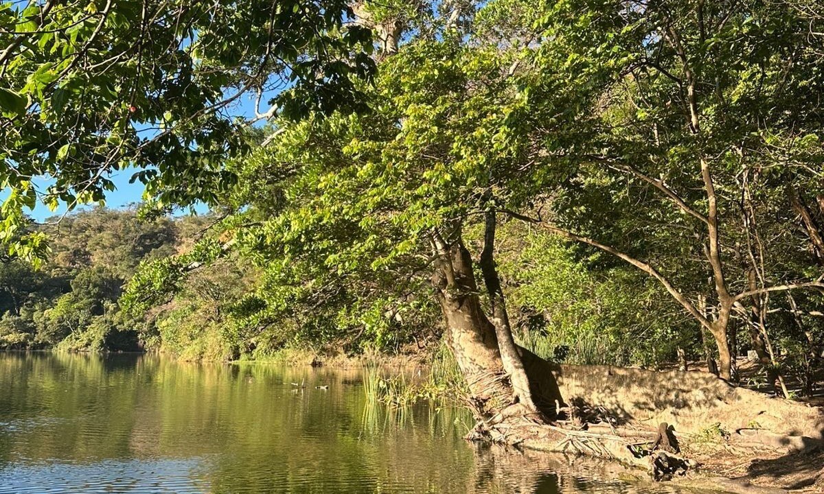 Photo of Others in San Antonio