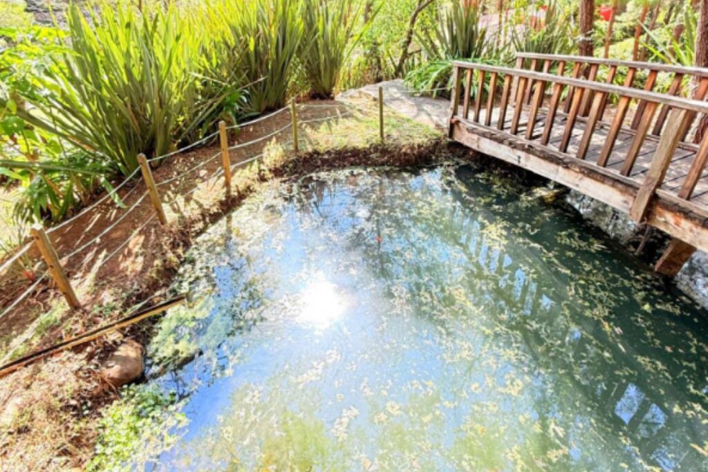 Photo of Outdoor in Mazamitla