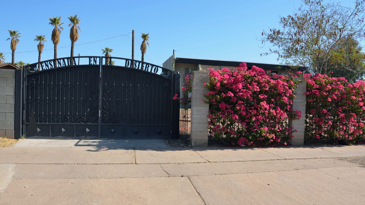 Photo of Outdoor in Downtown Phoenix