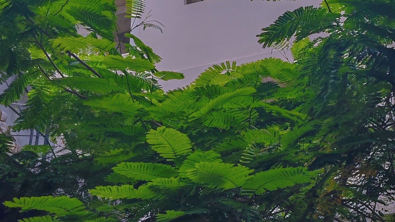 Photo of Outdoor in Playa Las Gatas