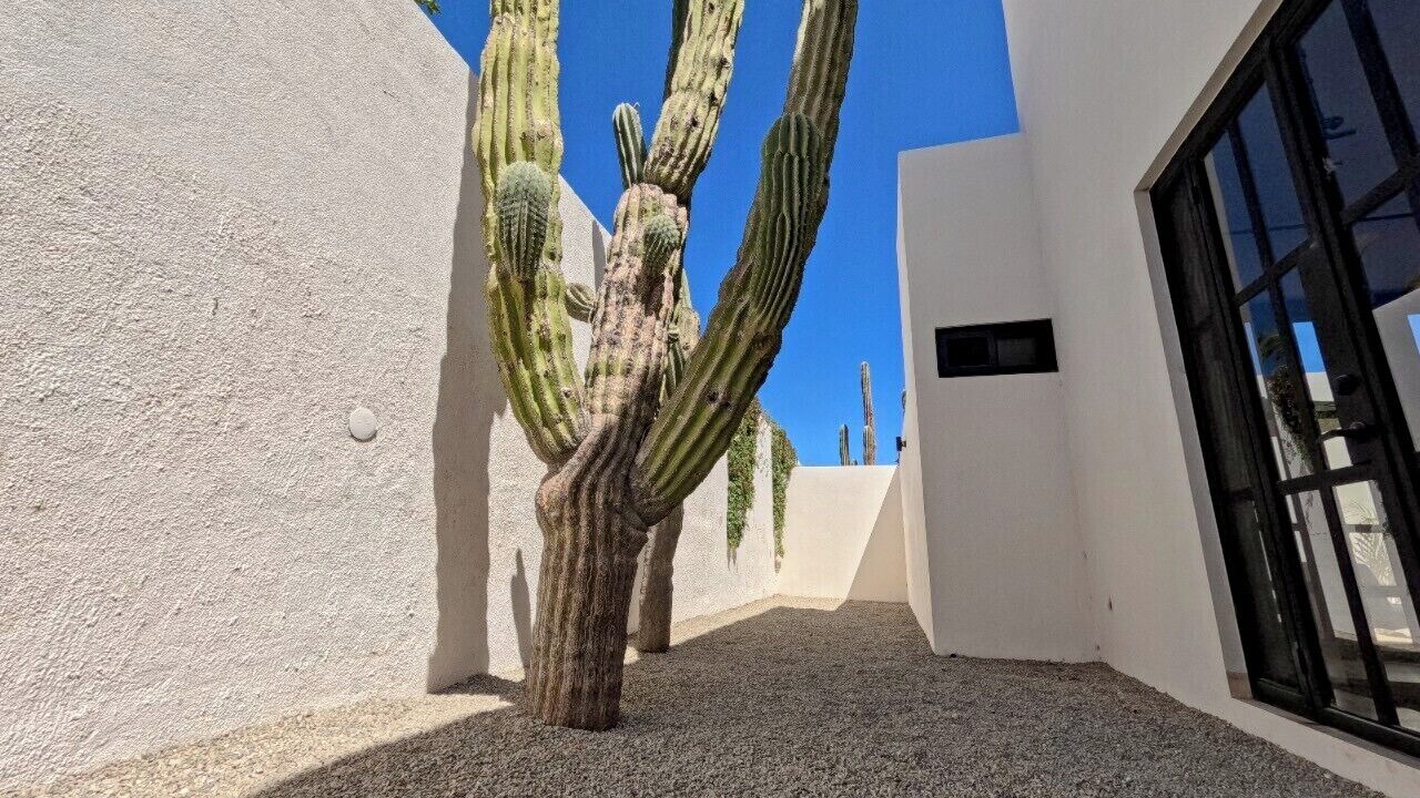 Photo of Outdoor in El Tezal