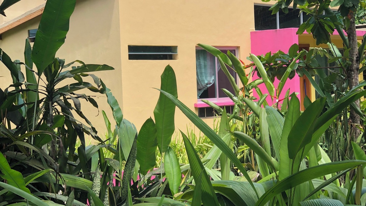 Photo of Outdoor in Comala