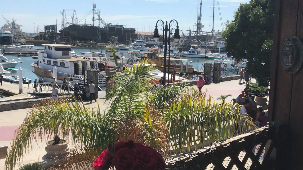 Photo of Others in Ensenada