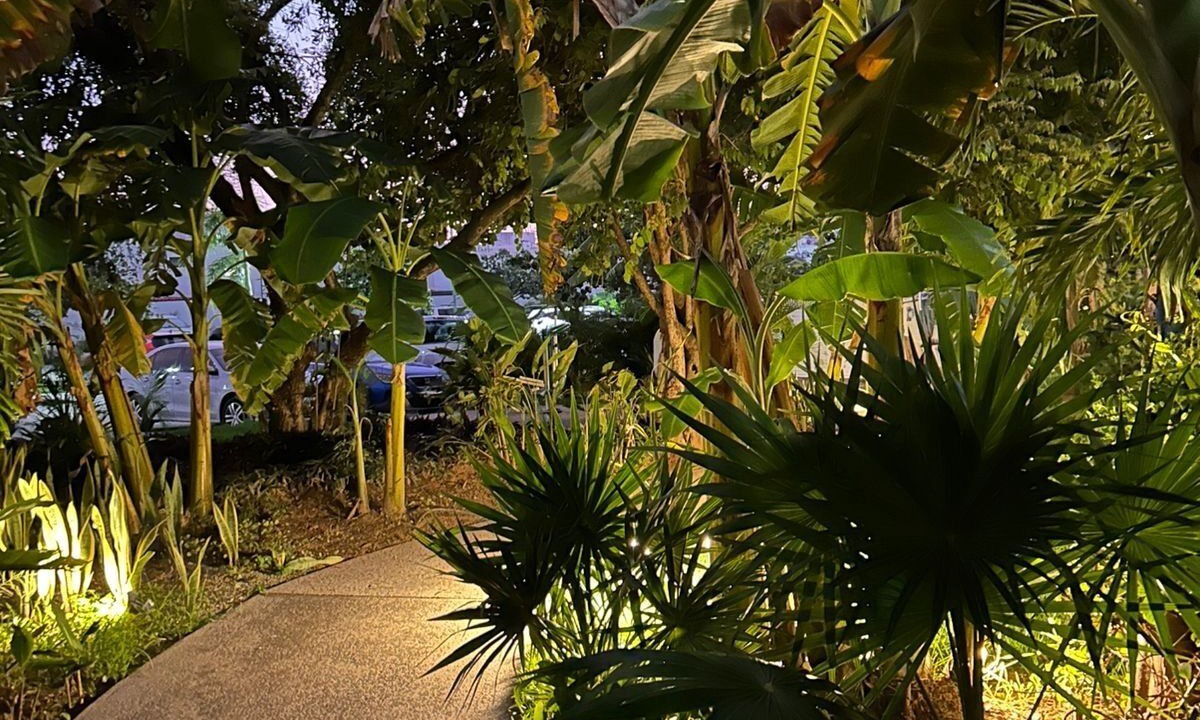 Photo of Outdoor in Mezcales