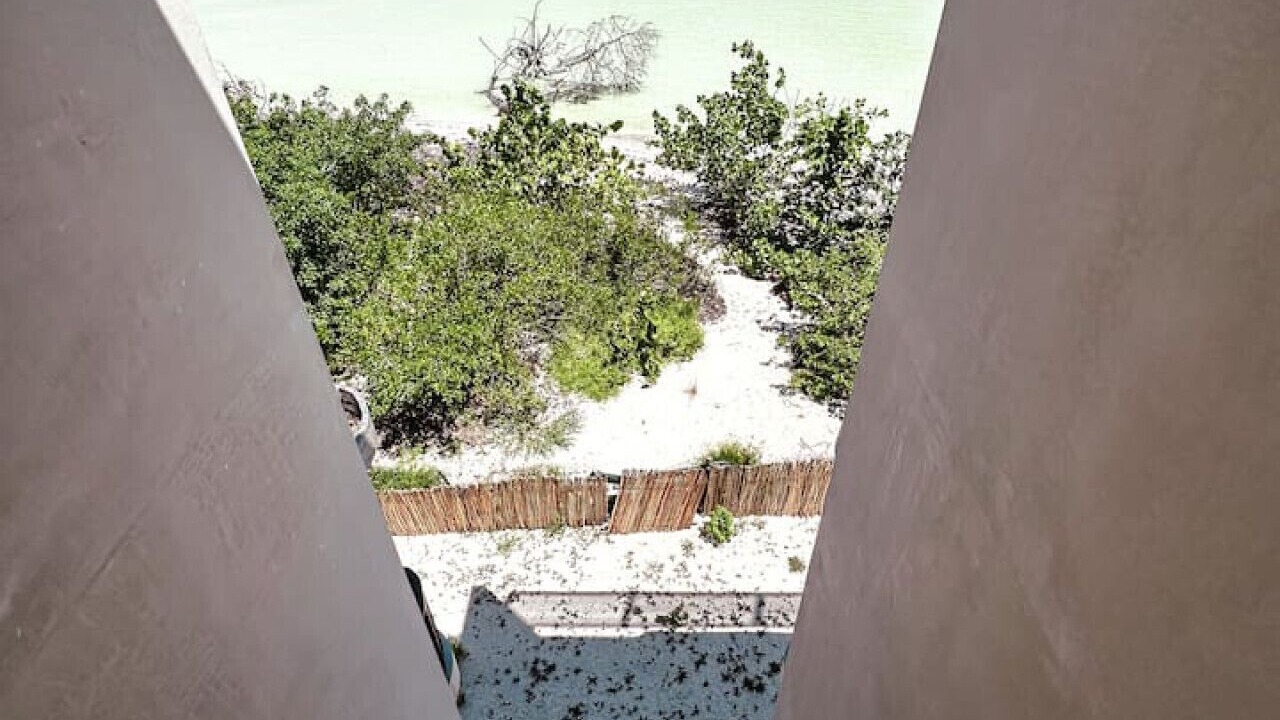 Photo of Others in Isla Holbox