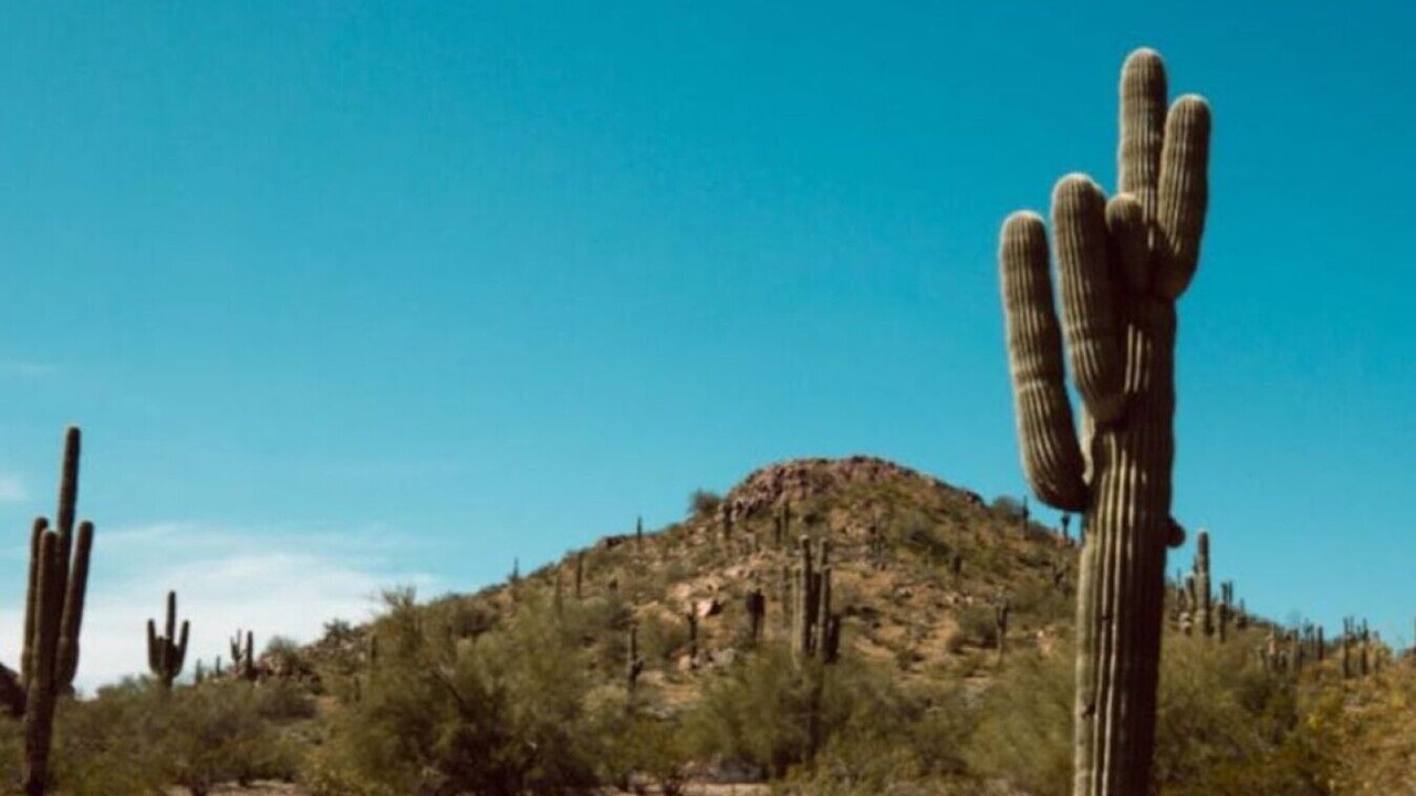 Photo of Others in Tempe