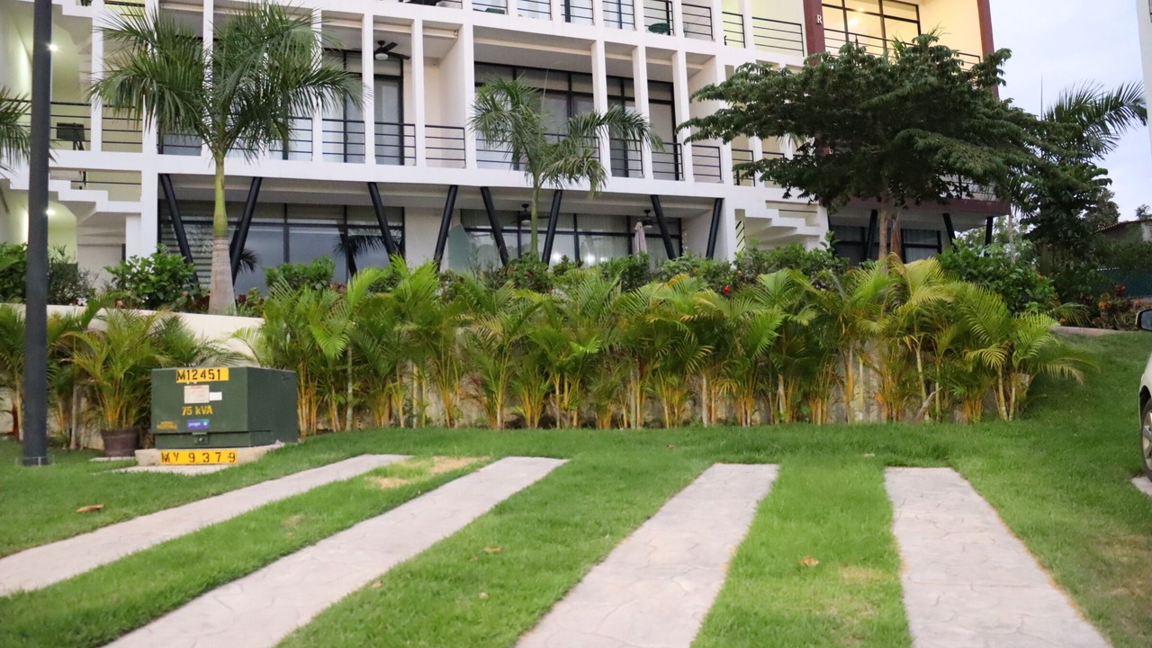 Photo of Outdoor in Mezcales