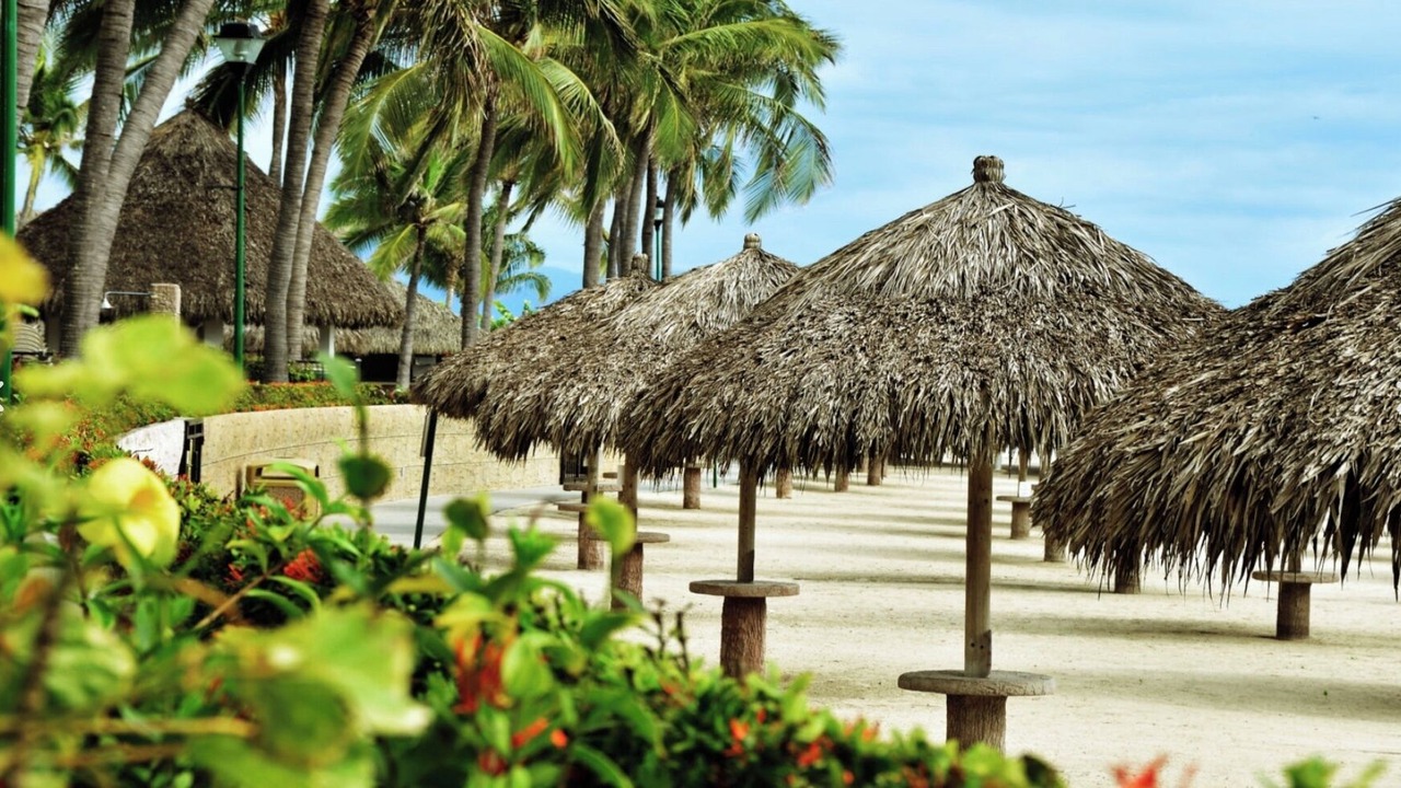 Photo of Others in Nuevo Vallarta