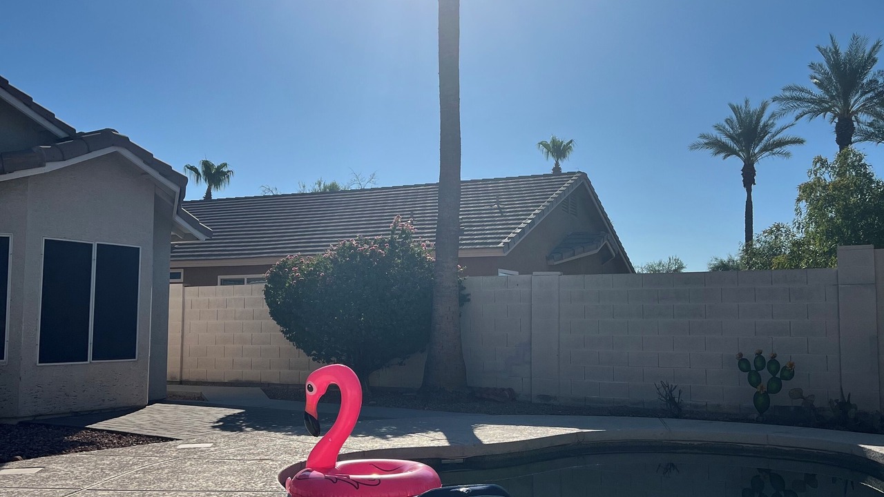 Photo of Outdoor in Fletcher Heights