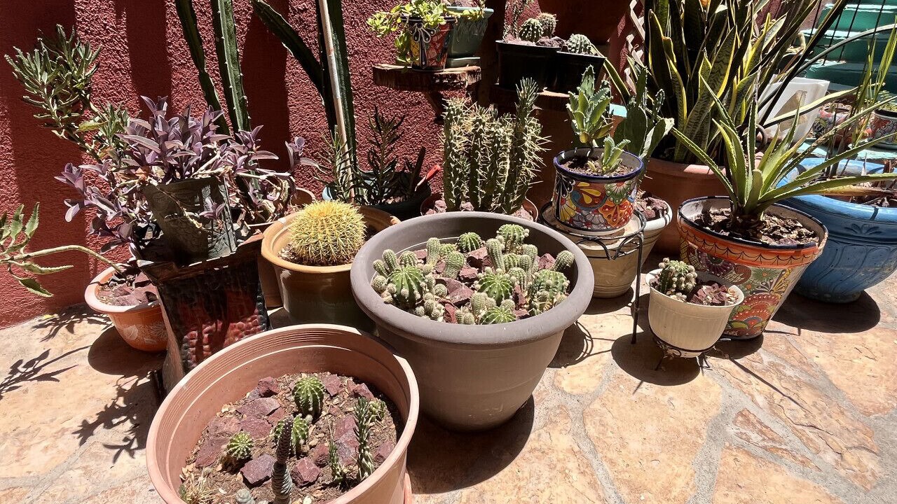 Photo of Outdoor in El Puerto