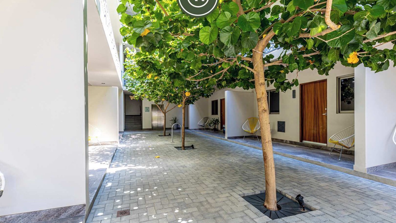 Photo of Outdoor in Downtown Cabo San Lucas