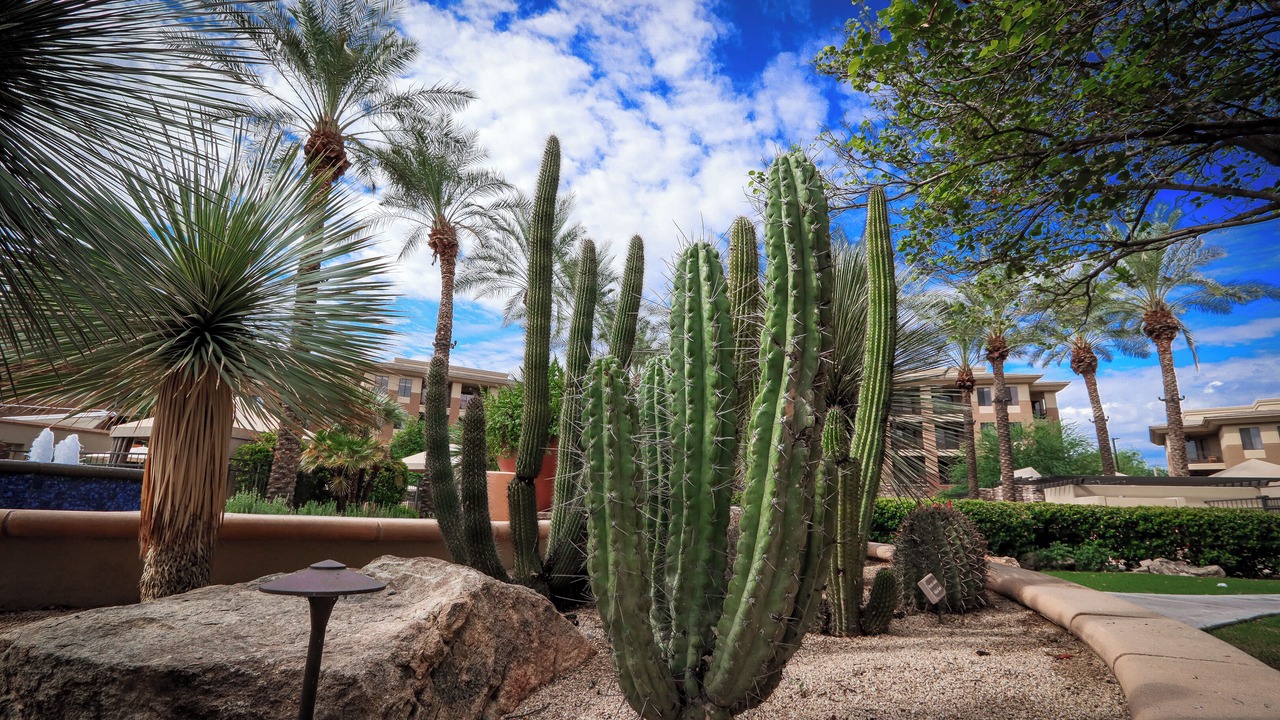 Photo of Outdoor in Kierland