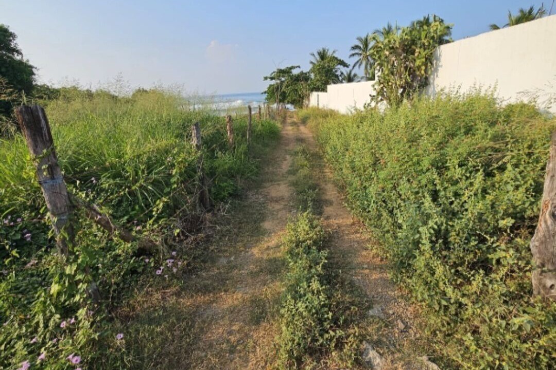 Photo of Others in Troncones