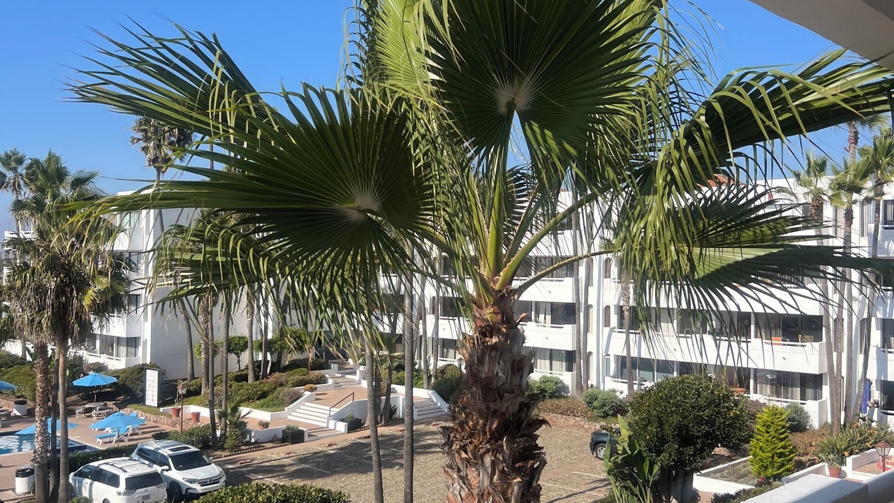 Photo of Outdoor in Constitucion