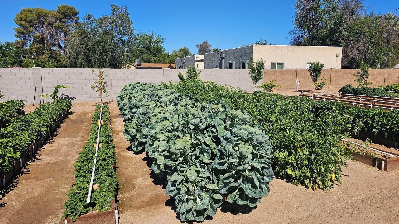Photo of Outdoor in North Mountain