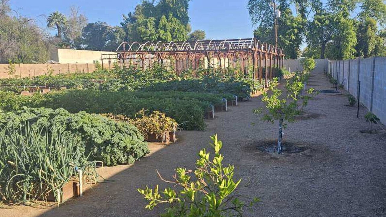 Photo of Outdoor in North Mountain