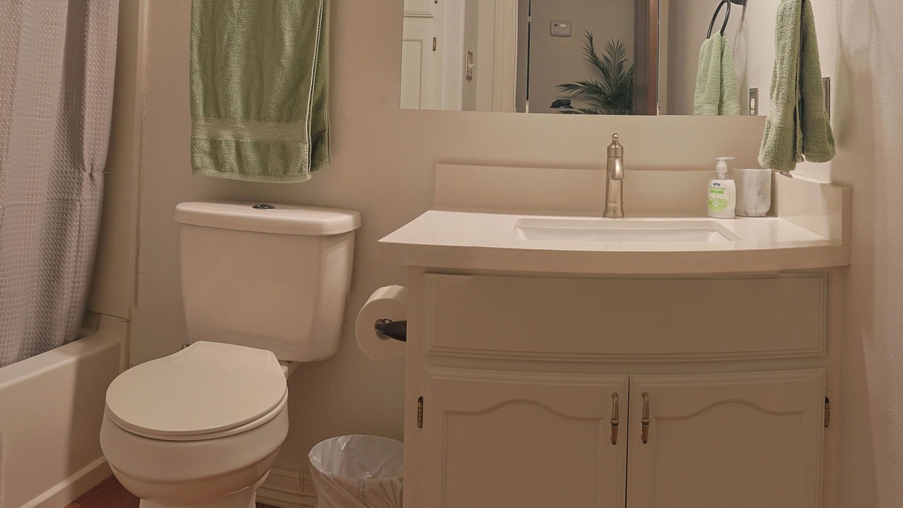 Photo of Bathroom in Pharr
