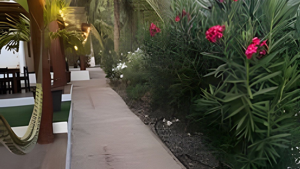 Photo of Outdoor in Saladita