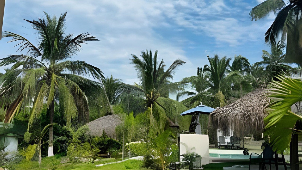 Photo of Outdoor in Saladita
