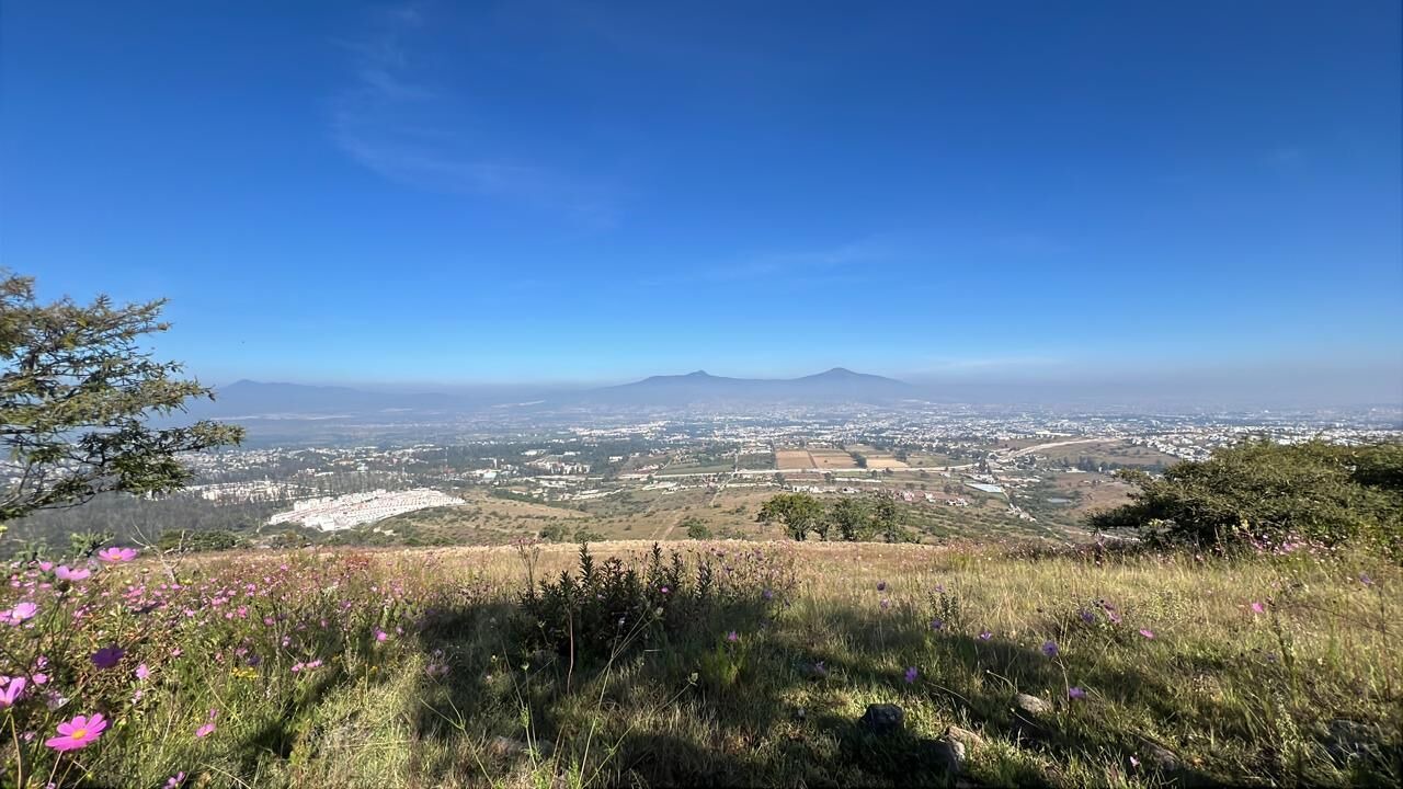 Photo of Others in Morelia