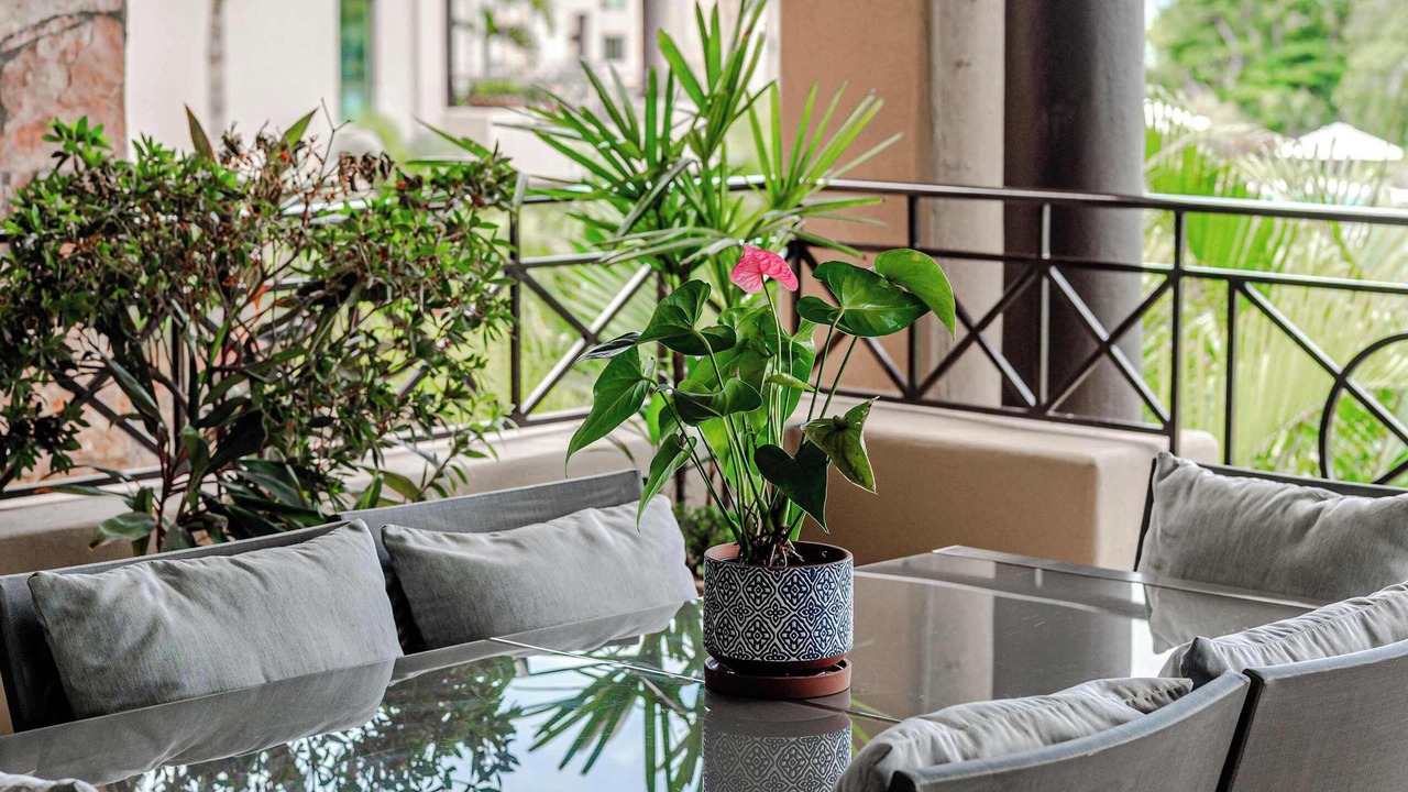 Photo of Outdoor in Punta de Mita