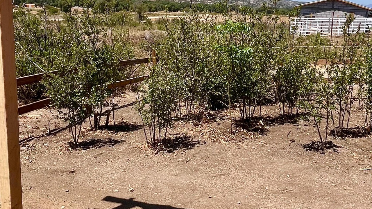Photo of Outdoor in Tecate Municipality