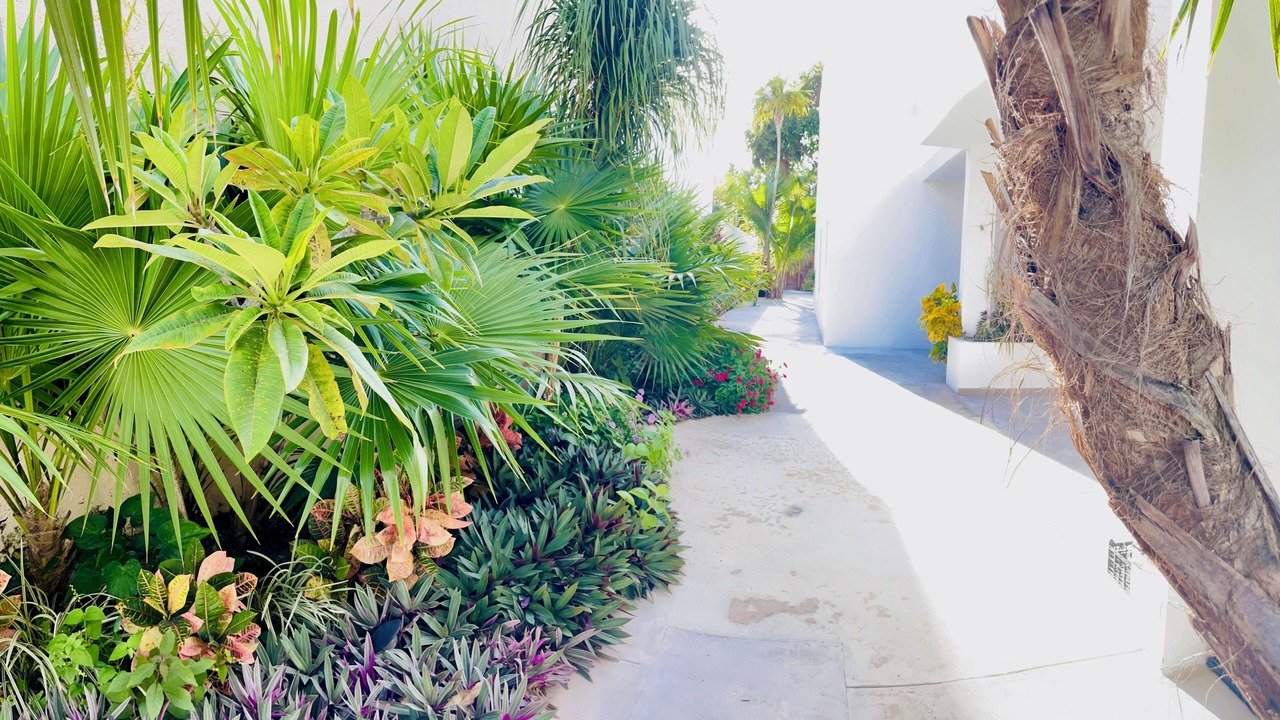Photo of Outdoor in Puerto Morelos