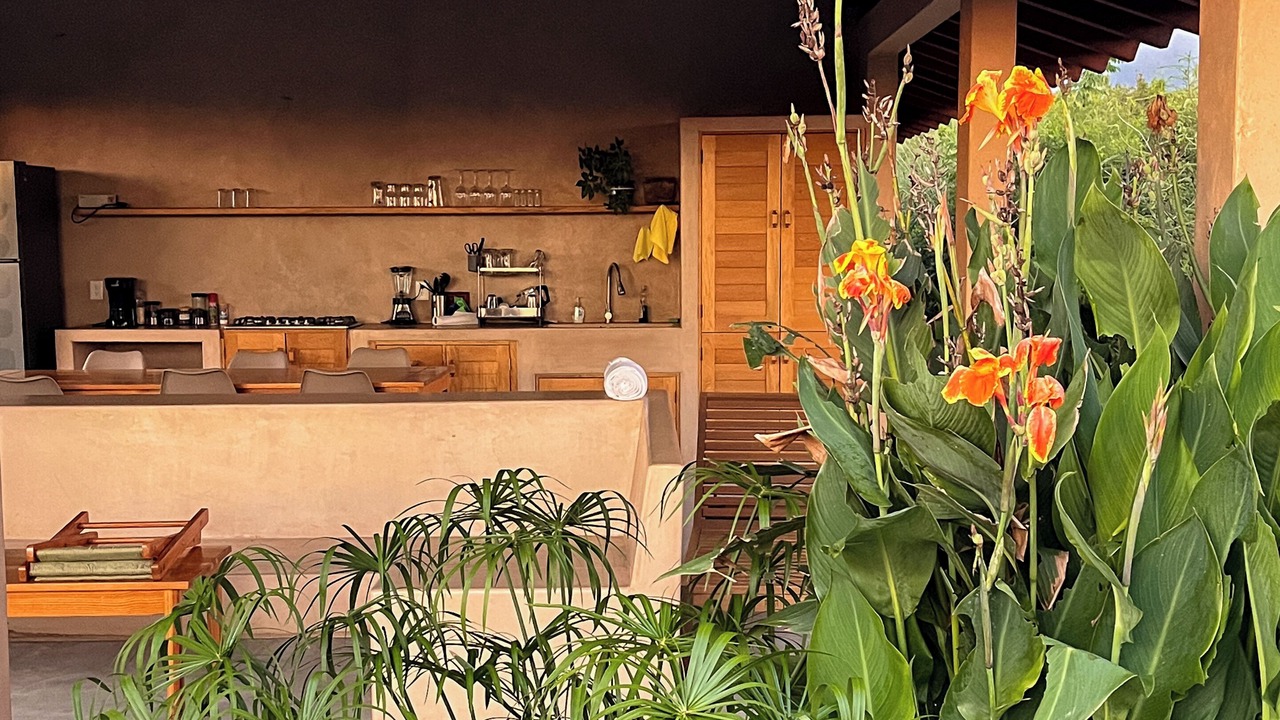 Photo of Outdoor in Saladita