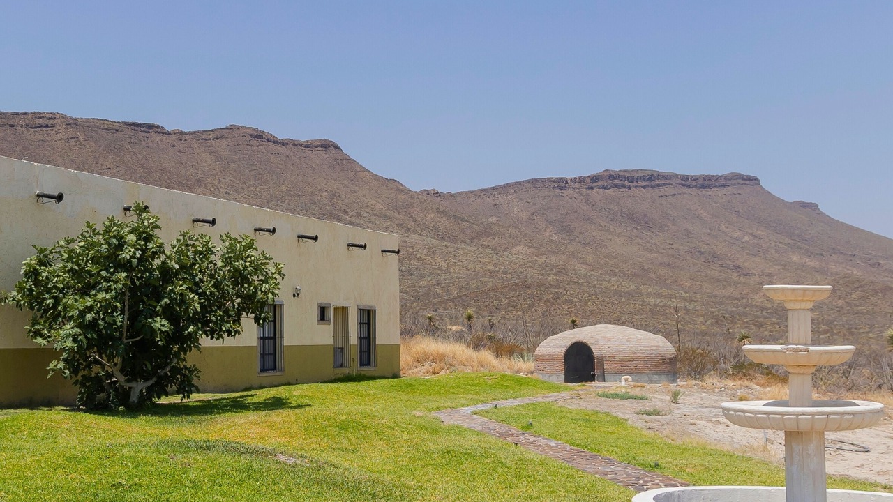 Photo of Outdoor in Parras