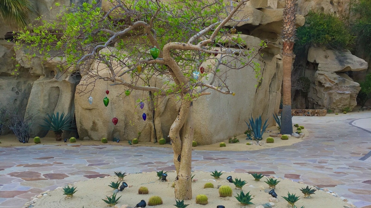 Photo of Outdoor in Marina