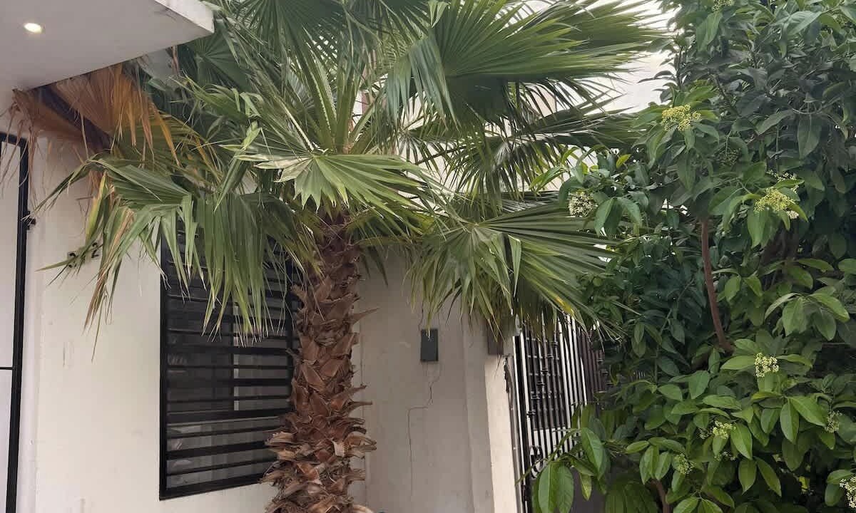 Photo of Outdoor in Reynosa