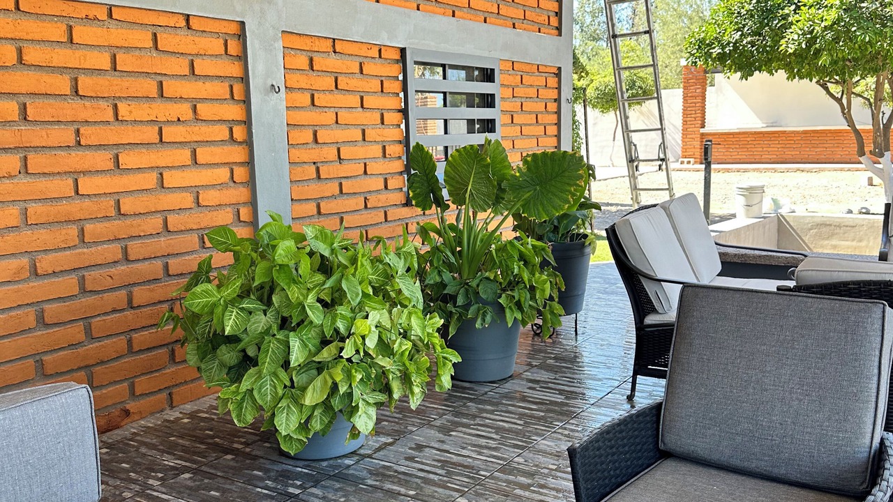 Photo of Patio Balcony in Hermosillo