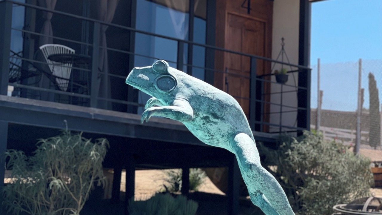 Photo of Outdoor in Valle de Guadalupe