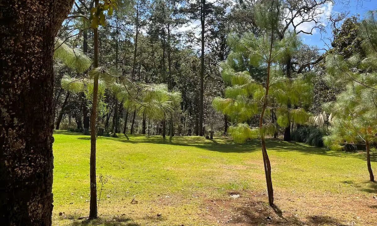 Photo of Outdoor in Tapalpa
