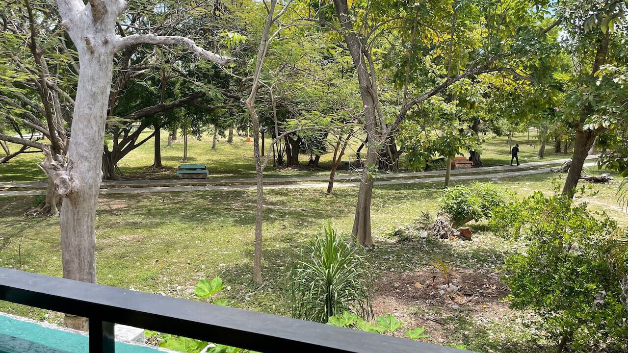 Photo of Outdoor in Downtown Cancun