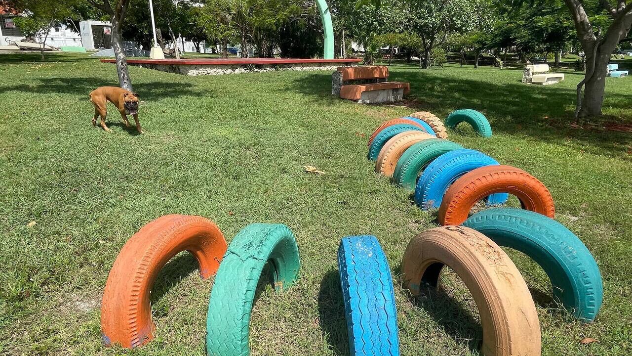 Photo of Outdoor in Downtown Cancun