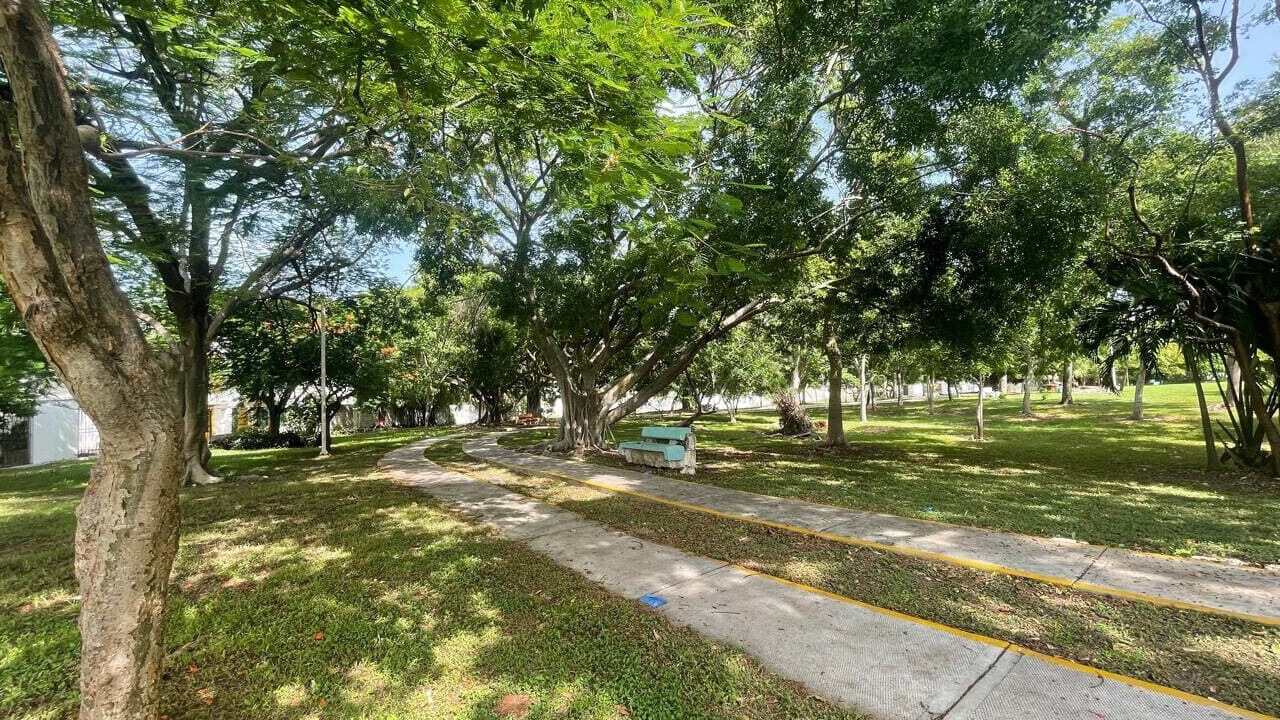 Photo of Outdoor in Downtown Cancun