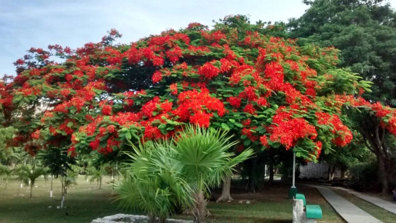 Photo of Outdoor in Downtown Cancun