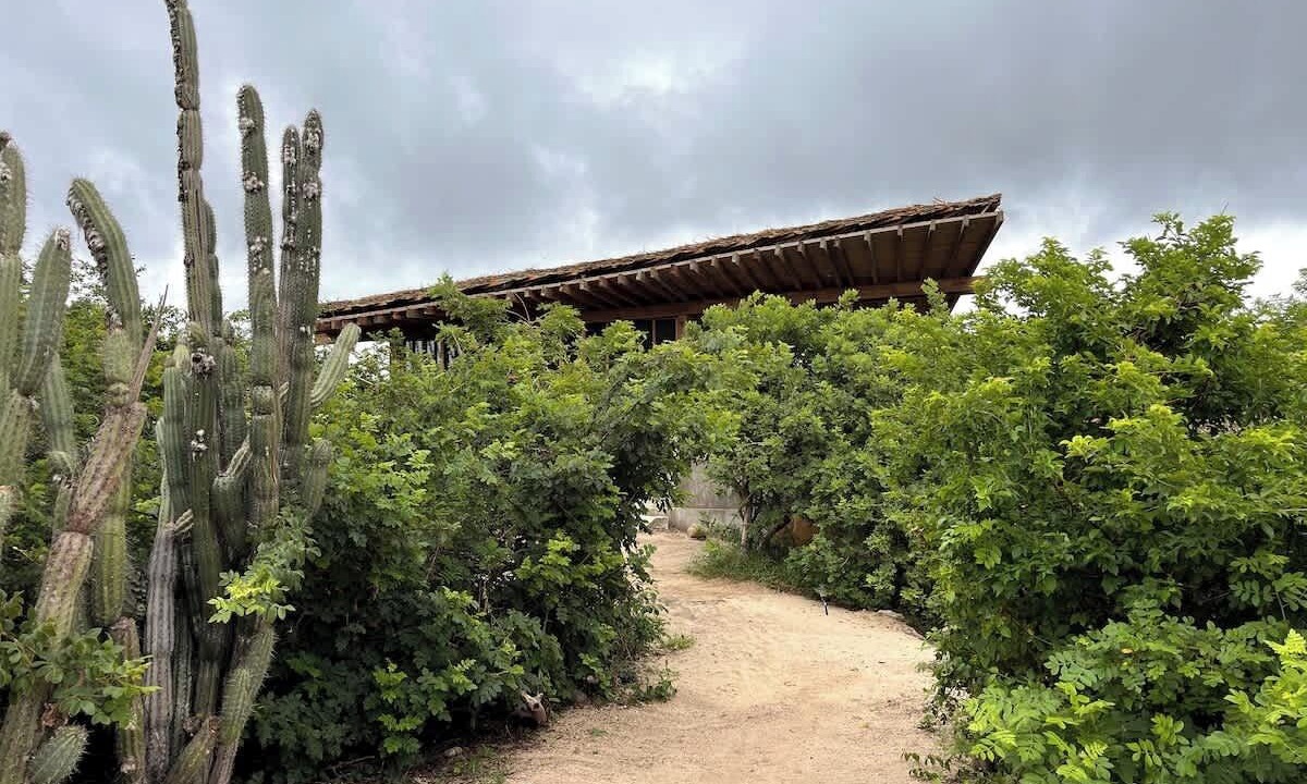 Photo of Outdoor in Puerto Escondido