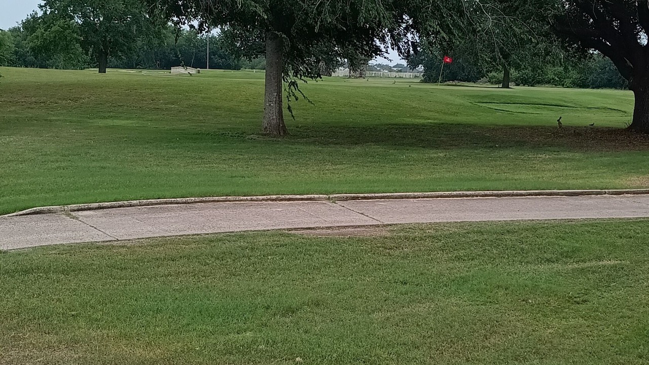 Photo of Others in Edinburg