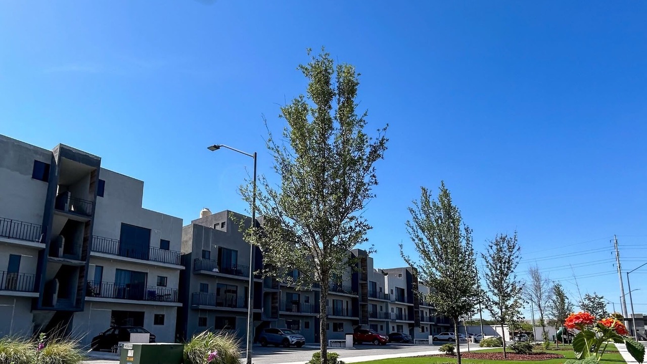 Photo of Outdoor in Guadalupe